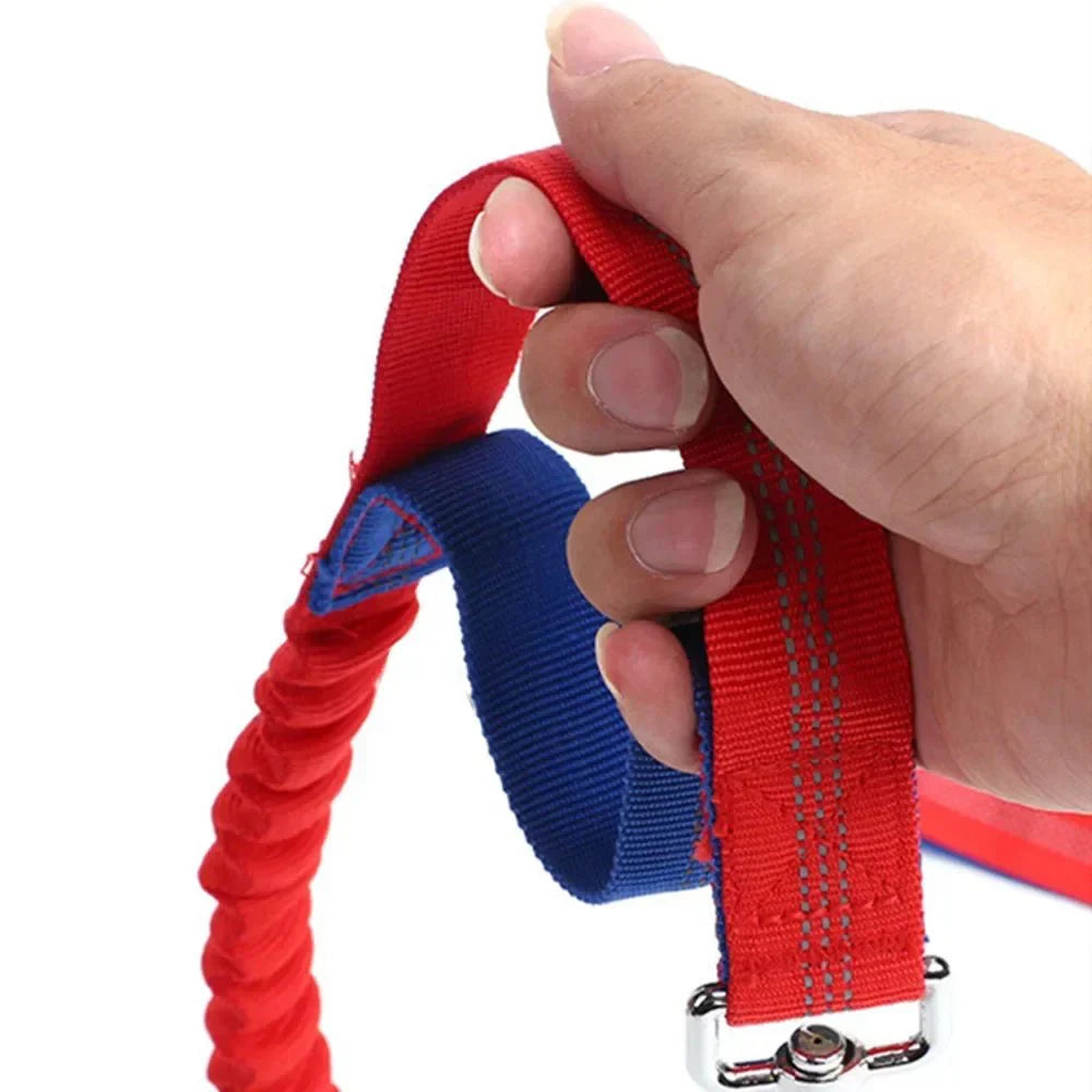 Dailypets Hands-Free Waist Dog Leash with Shock-Absorbing Bungee for Walking and Running