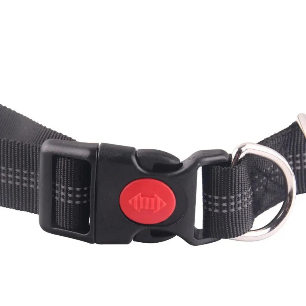 Dailypets Hands-Free Waist Dog Leash with Shock-Absorbing Bungee for Walking and Running
