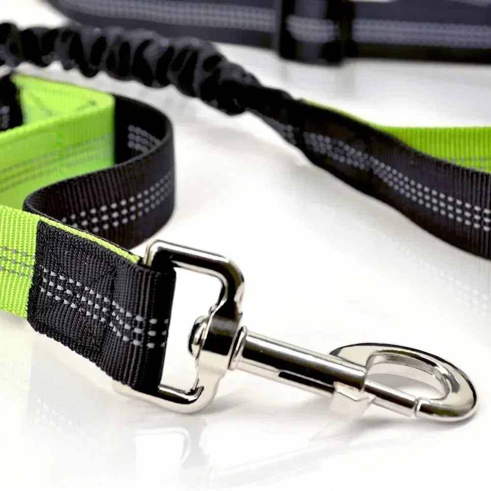 Dailypets Hands-Free Waist Dog Leash with Shock-Absorbing Bungee for Walking and Running