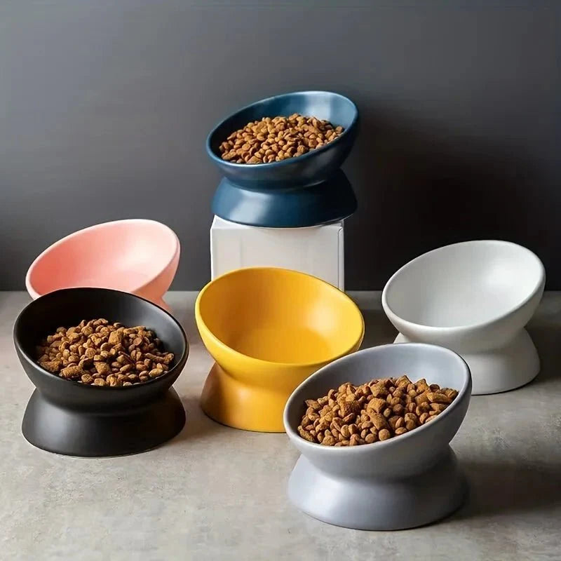 Dailypets Elevated Ceramic Pet Bowl with Angled Stand for Comfortable Everyday Feeding
