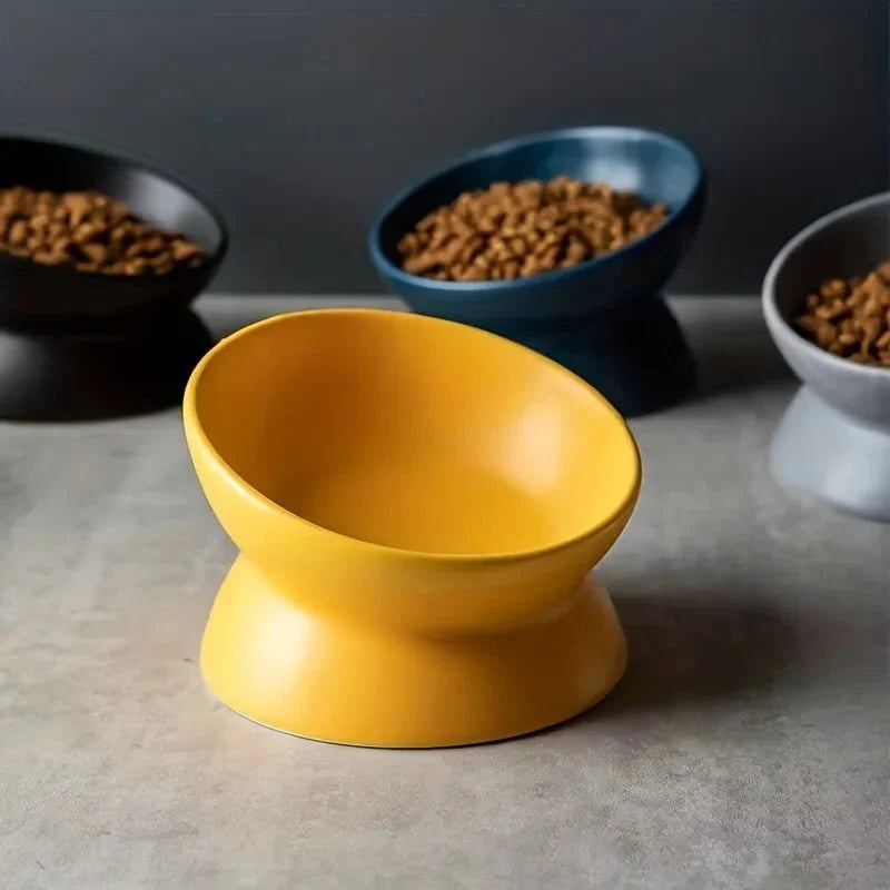 Dailypets Elevated Ceramic Pet Bowl with Angled Stand for Comfortable Everyday Feeding