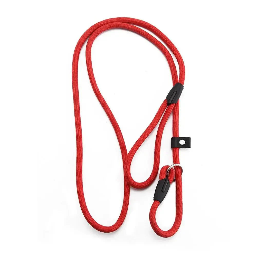 Dailypets Lightweight Nylon Slip Lead for Dog Training & Everyday Walks