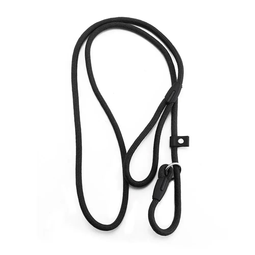 Dailypets Lightweight Nylon Slip Lead for Dog Training & Everyday Walks