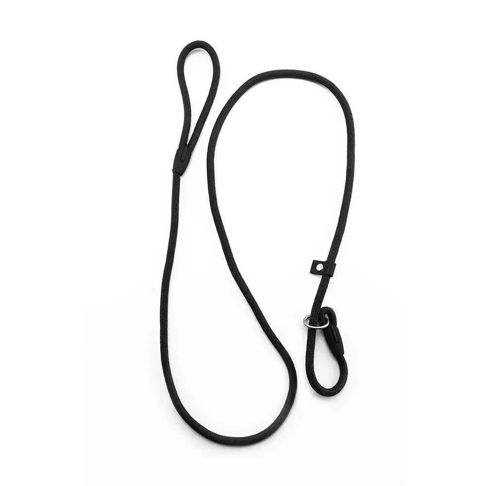 Dailypets Lightweight Nylon Slip Lead for Dog Training & Everyday Walks