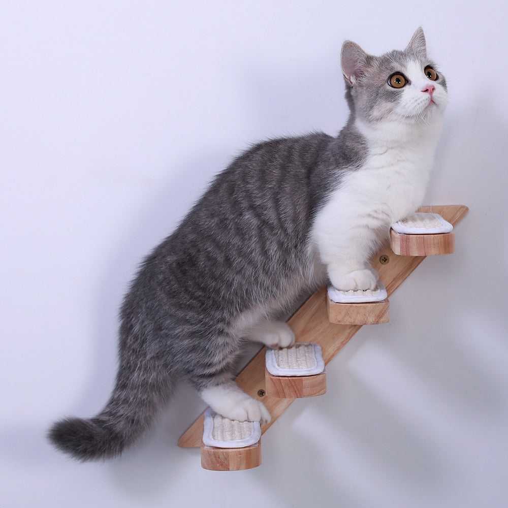 Dailypets Wall-Mounted Cat Ladder – Wooden Climbing Steps for Modern Indoor Cat Walls