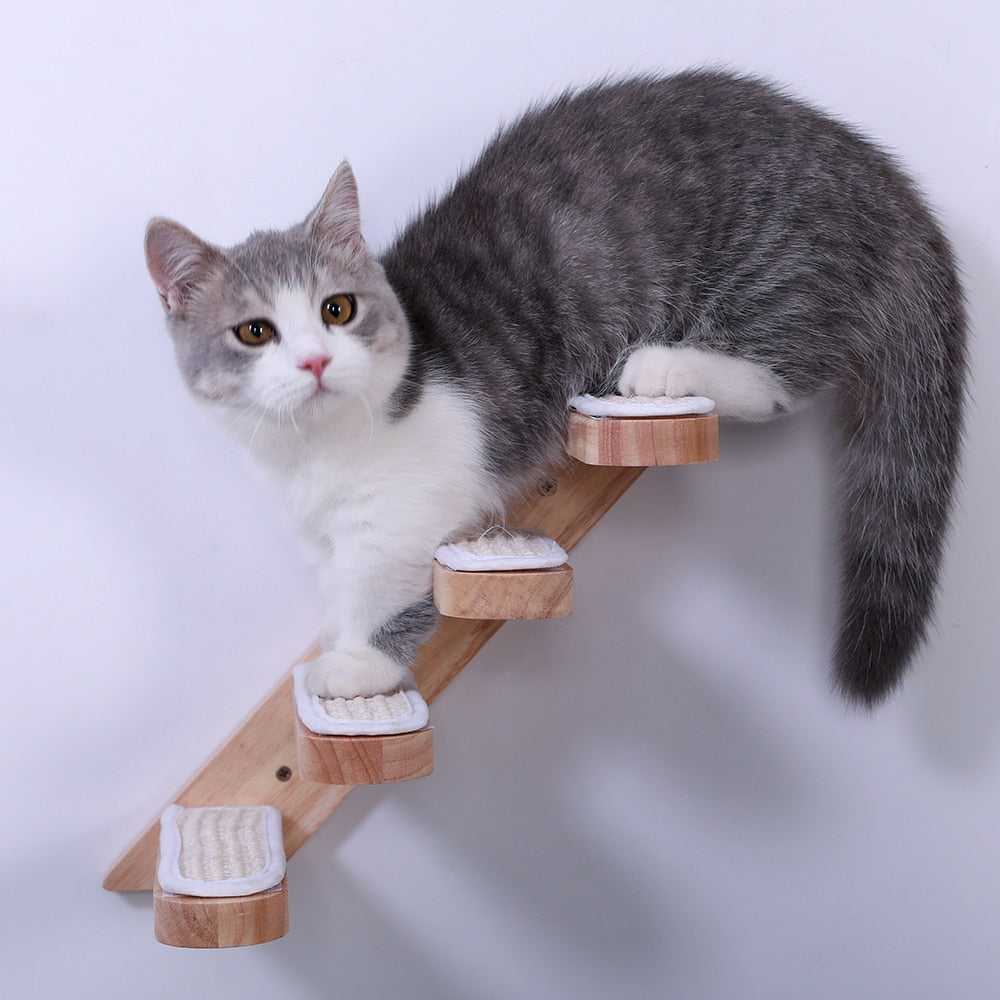 Dailypets Wall-Mounted Cat Ladder – Wooden Climbing Steps for Modern Indoor Cat Walls