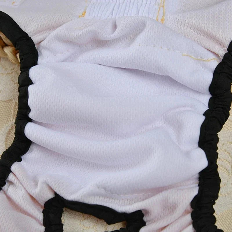 Dailypets Washable Female Dog Diaper with Adjustable Fit for Everyday Protection Daily