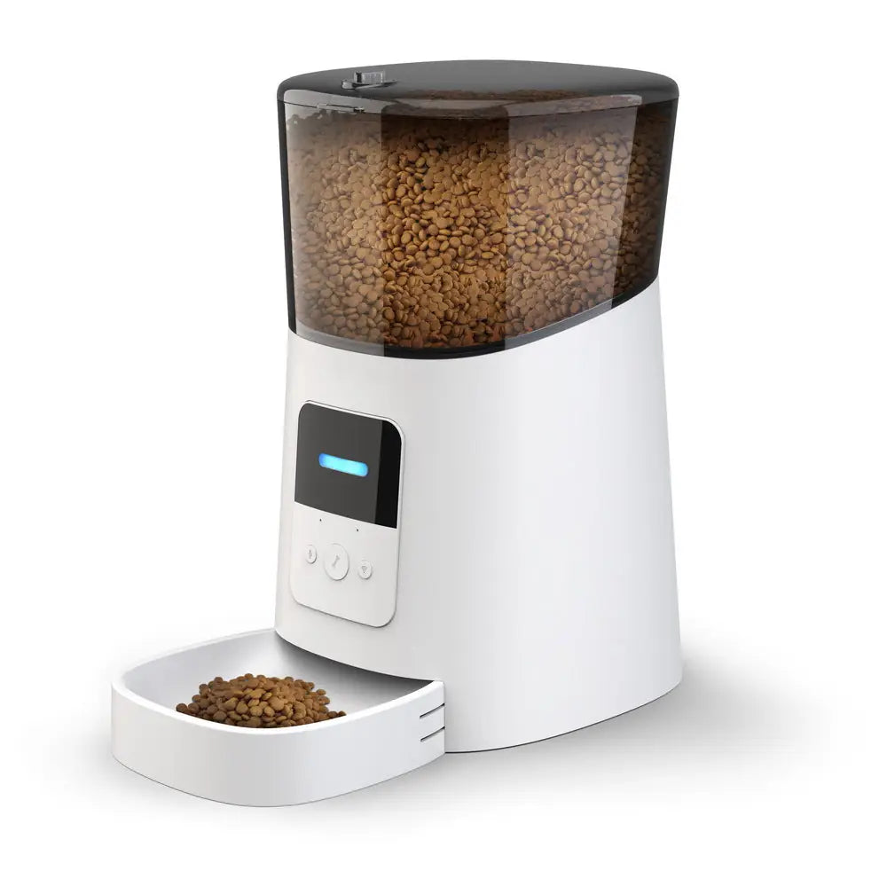 Dailypets Pet Food & Water Station Bundle for Daily Feeding Routines