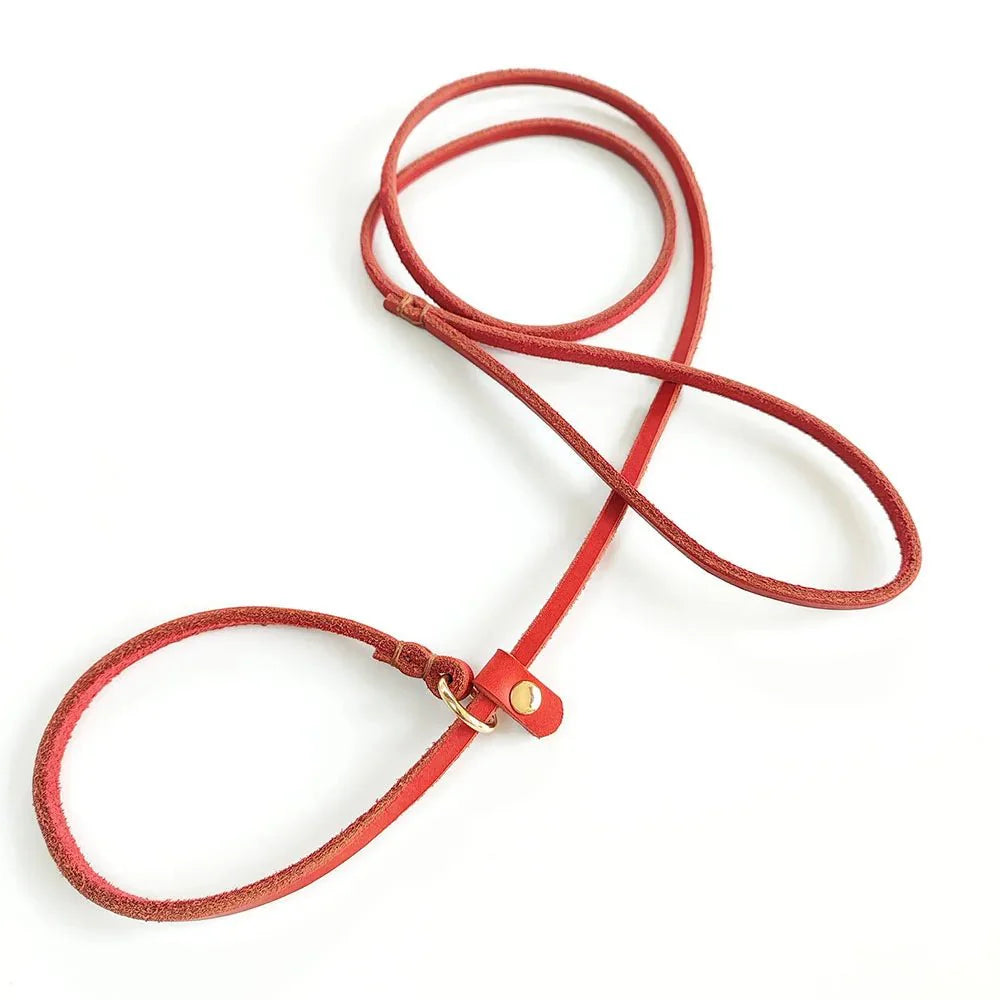 Dailypets Soft Leather Slip Lead for Dogs with Adjustable All-in-One Lead & Collar