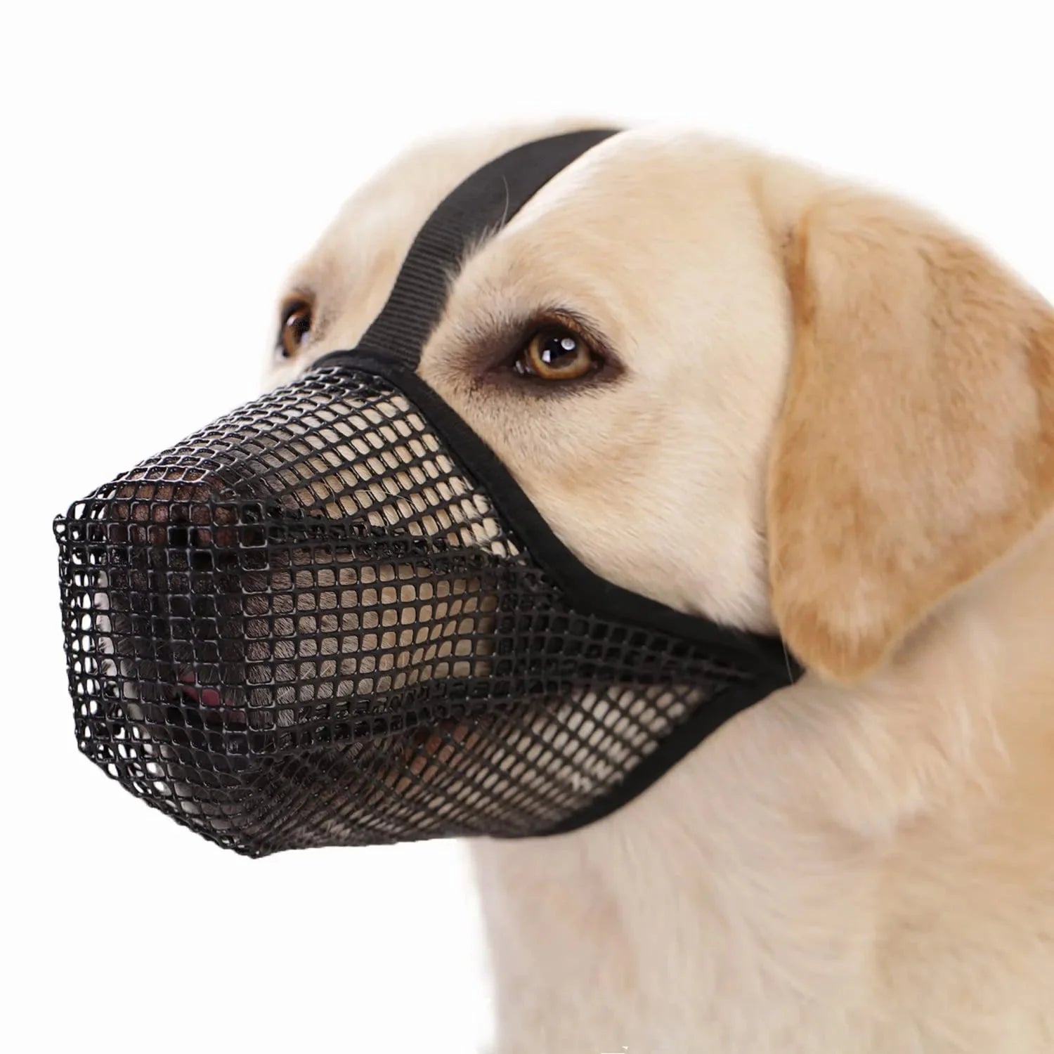 Dailypets Breathable Soft Dog Muzzle with Adjustable Mesh Fit for Everyday Comfort